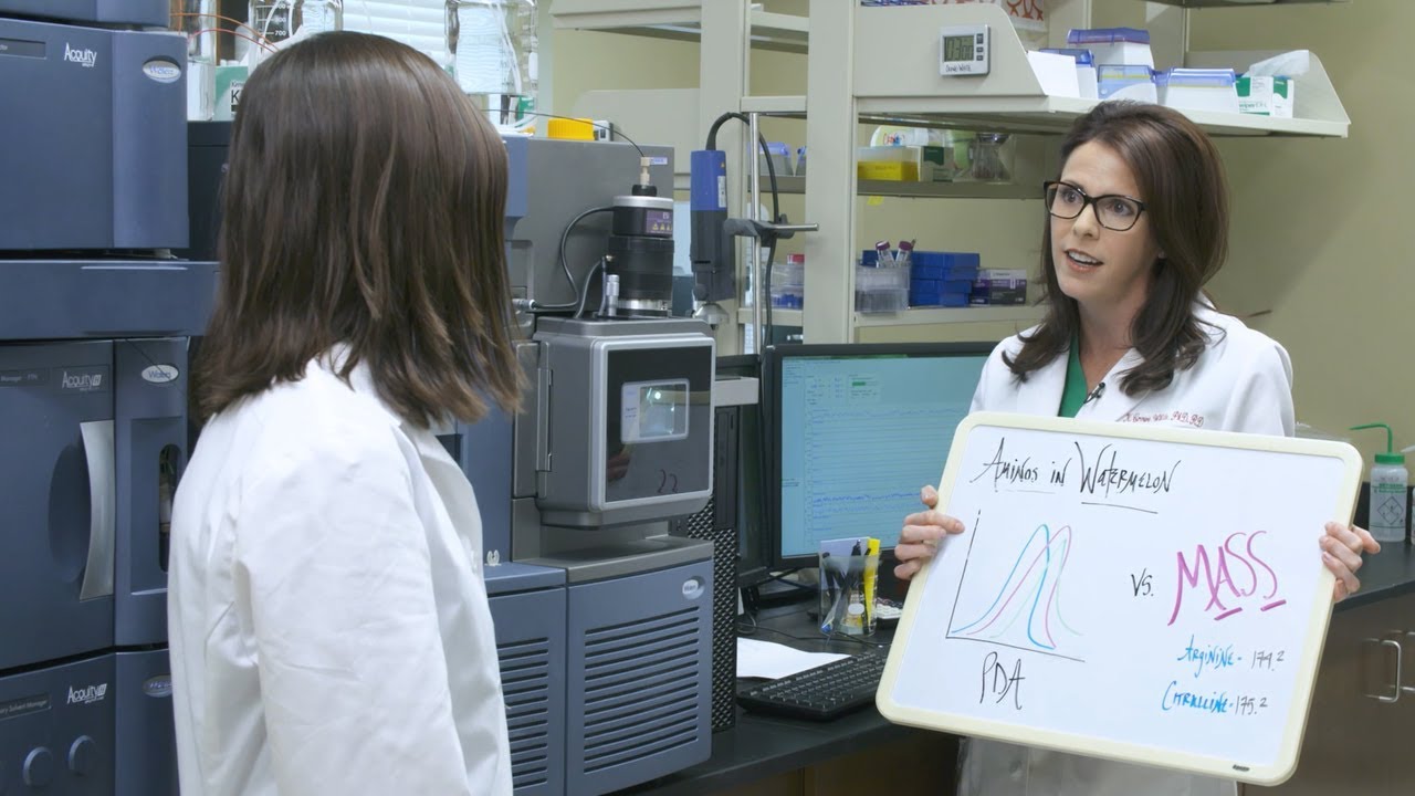 Can eating watermelon improve heart health? We visit U. of Alabama to find out | Behind the Science