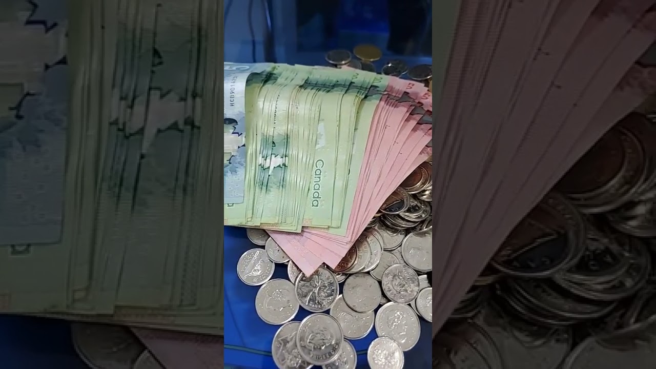 Canadian Money | #Shorts #canadian #money #coin #collection #cute #funny