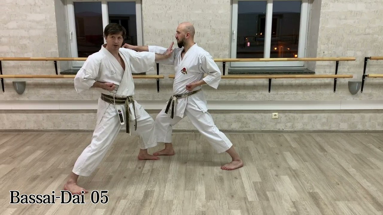 Bassai Dai bunkai 5 - Tate Shuto Uke - Choku Tsuki - Uchi Uke - Choku Tsuki - Uchi Uke