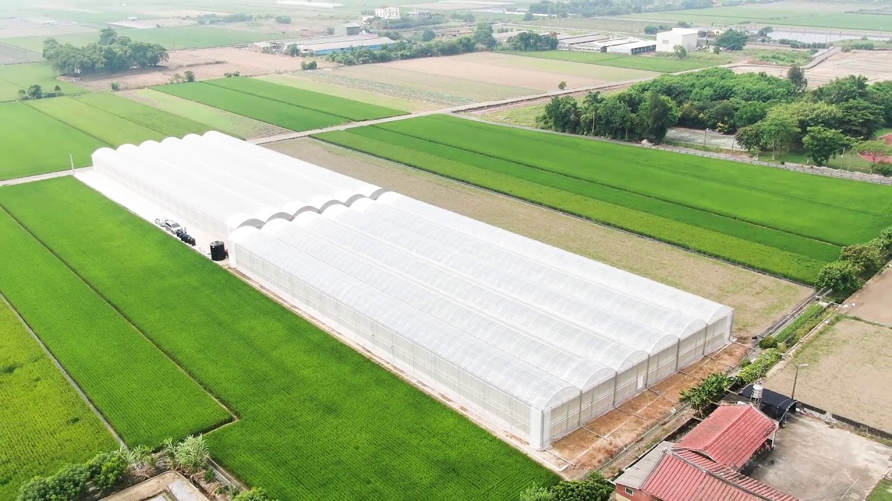 Fogging system【Rotary Fog System In Greenhouse】