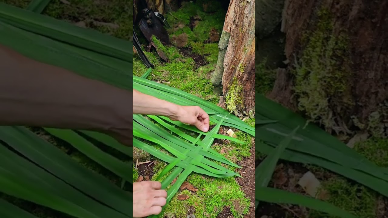 ASMR BUILD A WARM LOG CABIN IN 24 HOURS - Survival Bushcraft.
