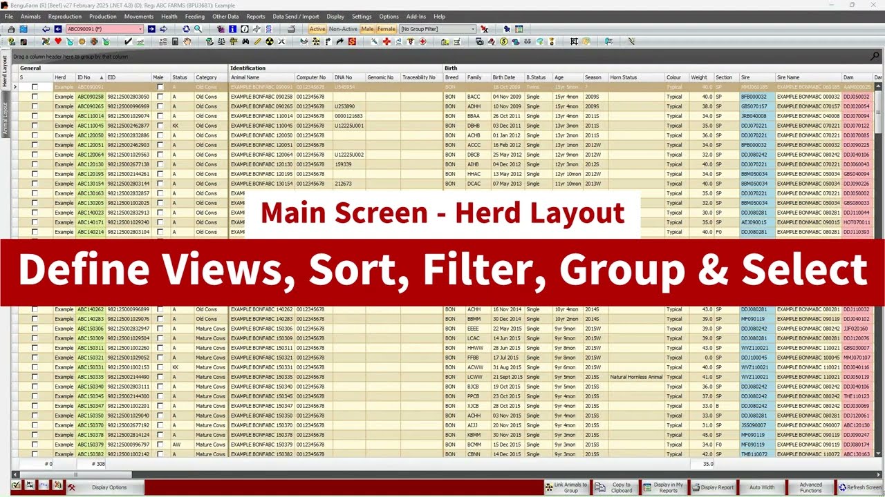 Herd Layout:  Setup Views, Sort, Filter, Group & Select