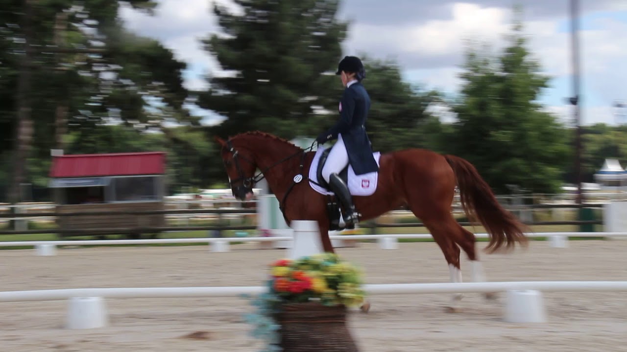 CCI4* Haras de Jardy, drugie zawody po operacji kręgosłupa