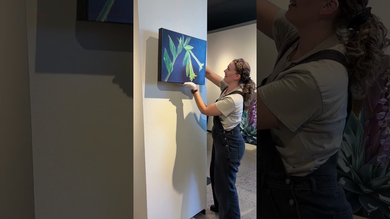 Now on View! Wild Arizona: Native Arizona Plants and Places #arizona #art #contemporaryart