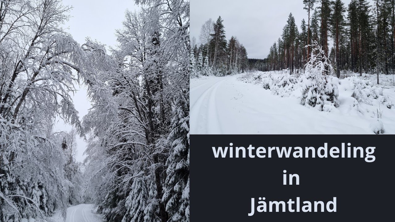 Winterwandeling in J&auml;mtland Zweden. 15 december 2025. Wandelvlog #8