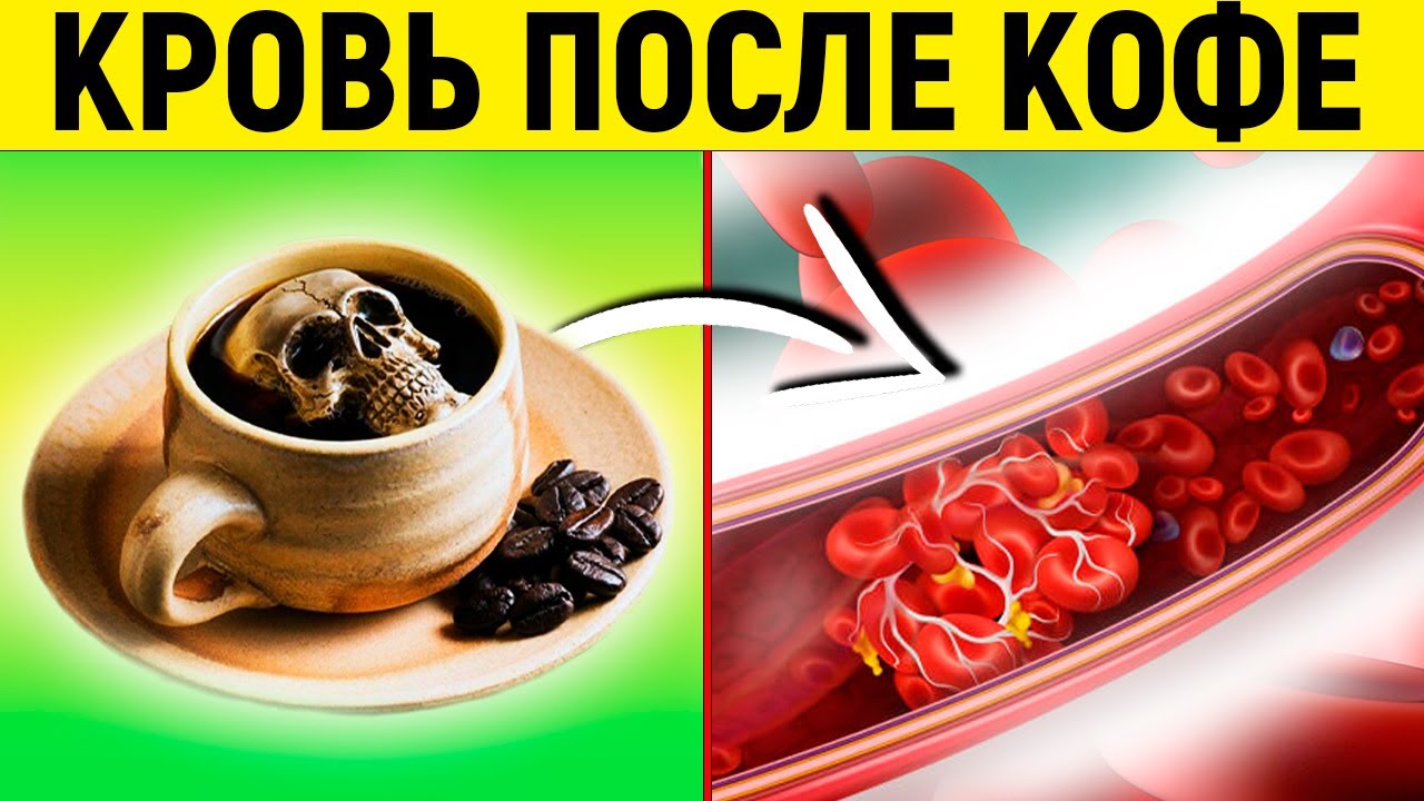 Вот как Кофе действует на Организм Человека! Кофе польза и вред для Здоровья | Смотри и Знай