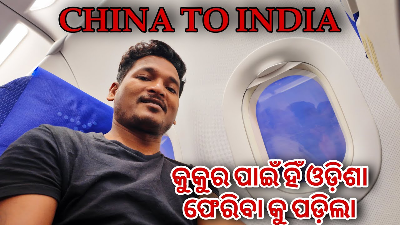 କୁକୁର ପାଇଁ ହିଁ ଓଡ଼ିଶା ଫେରିବା କୁ ପଡ଼ିଲା || China to India