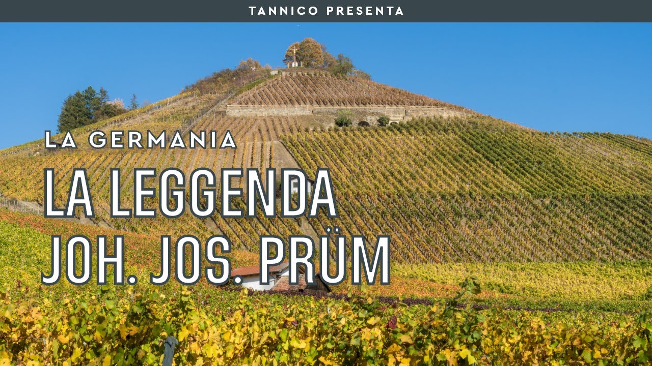 La leggenda Joh. Jos. Prüm | Tannico Flying School