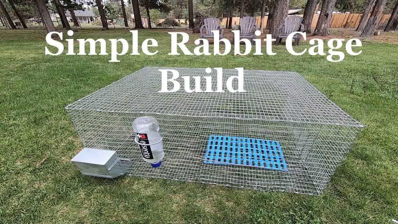 Simple Rabbit Cage