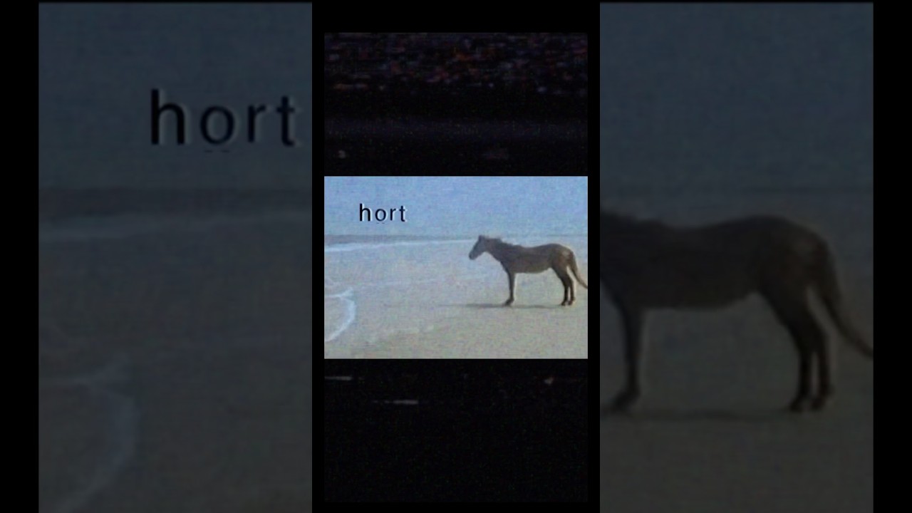 Hort #shorts #meme #horse #voiceover #voiceactor #memes #relatable #vo #va #rage #info #spelling