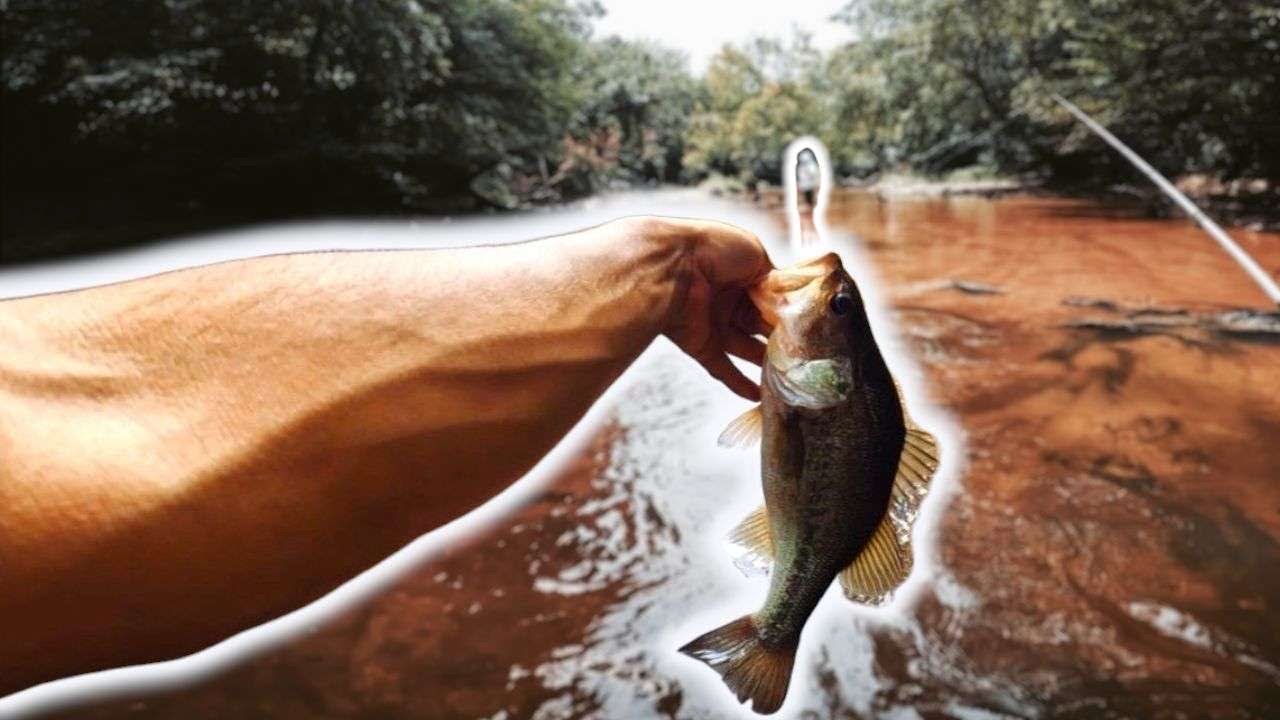 A Tar River Fishing Jaunt! 