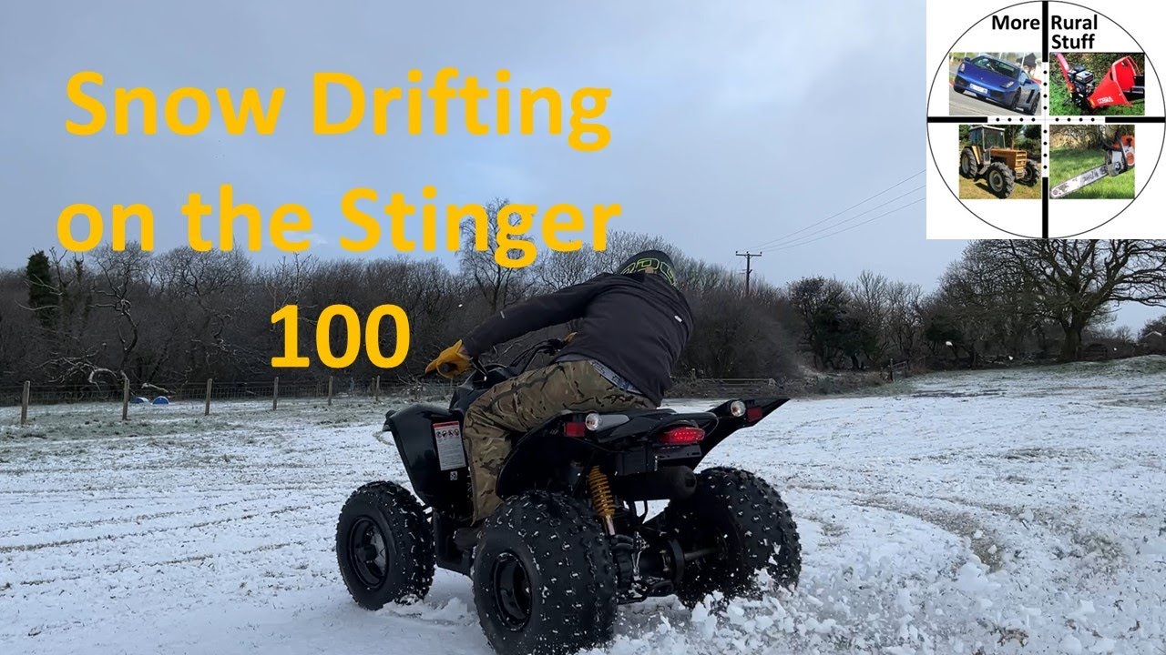 Quadzilla Stinger 100 Quad Snow and Grass