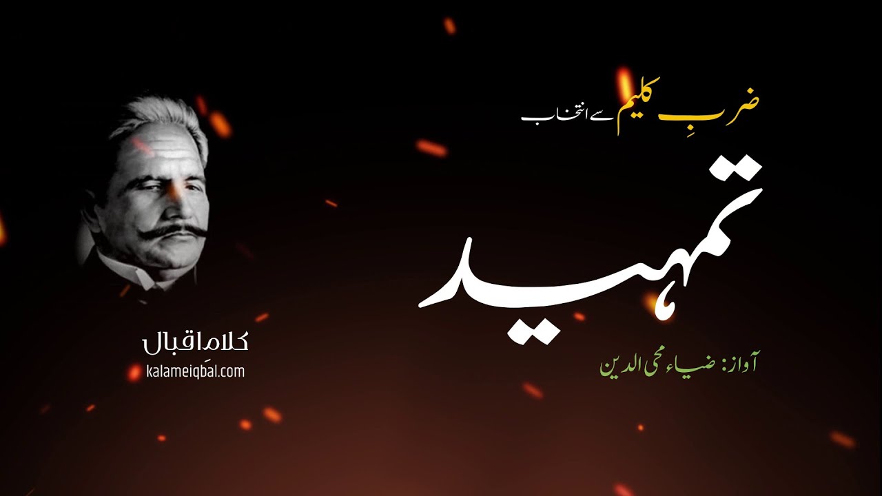 Tamheed | Zarb e Kaleem | Allama Iqbal #allamaiqbal #iqbalpoetry