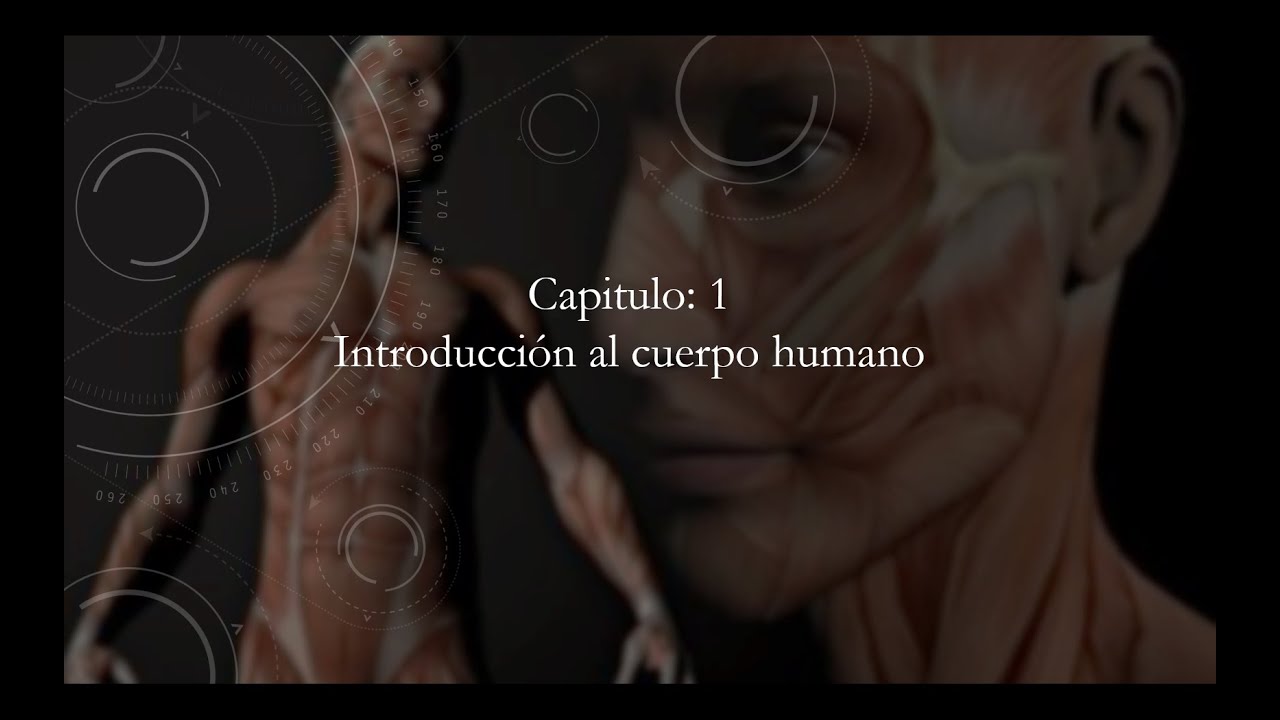 Capitulo 1 MORFOFUNCION