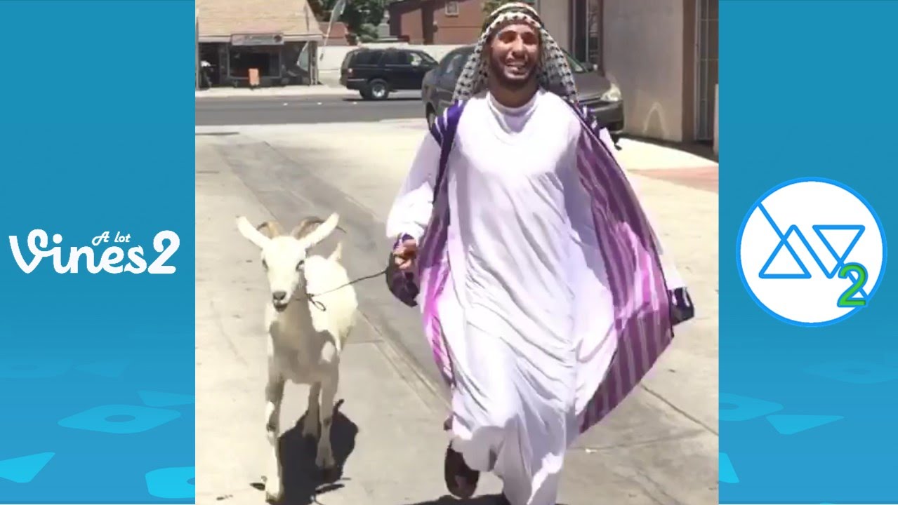 New Anwar Jibawi Vine Compilation with Titles | All Anwar Jibawi Vines 2015