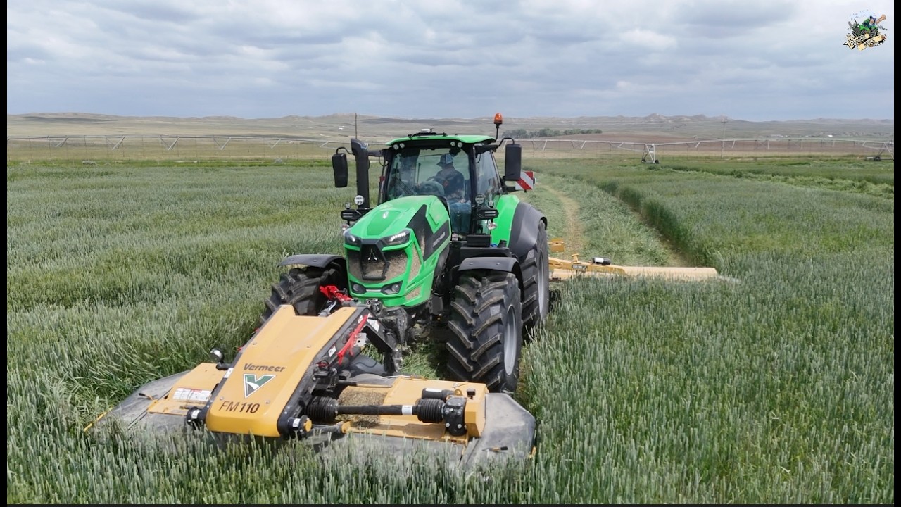 Mowing & Chopping Wheat near Buffalo Wyoming