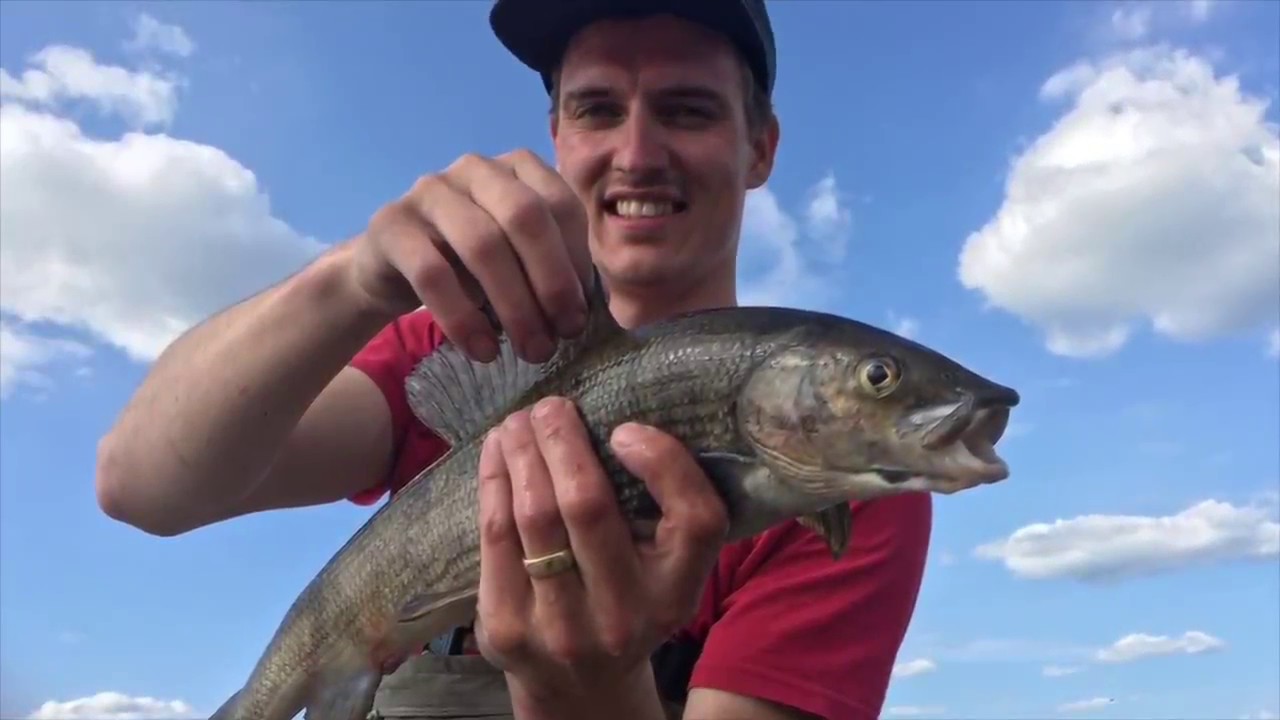 Fly fishing Jurunjaure 2017 FishingCLUB reissu 1
