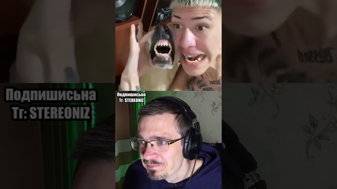БИТБОКС + СОБАКА🐺
