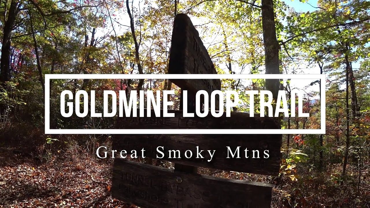 Goldmine Loop Trail and Tunnel Bypass Trail Great Smoky Mountains