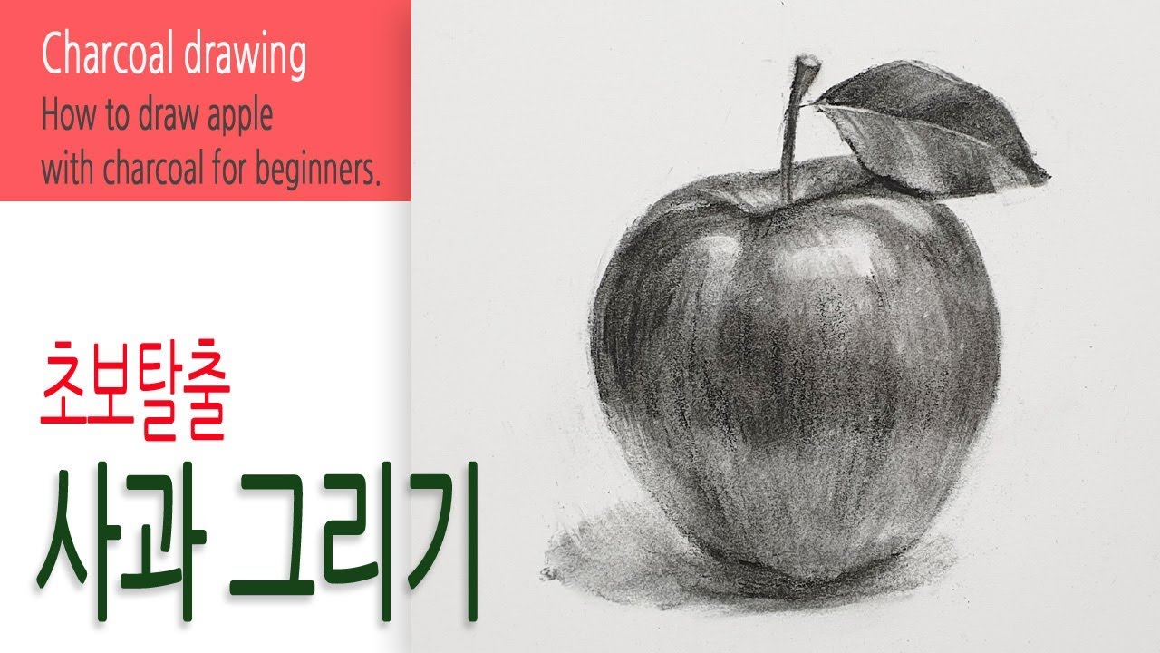 초보탈출 / 목탄으로 사과 그리기 - 기초드로잉