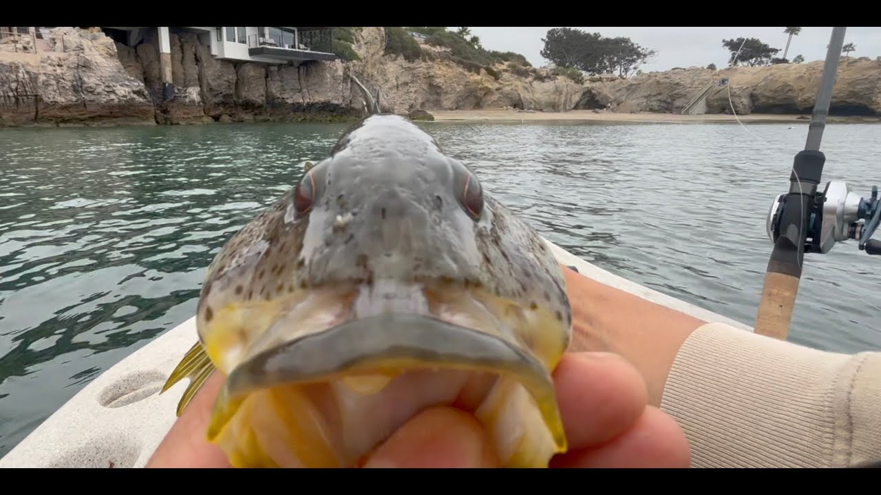Spotted Bass Kayak Fishing at Newport Beach Harbor 09-13-2025