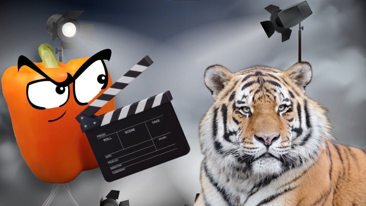 I tried directing my own movie