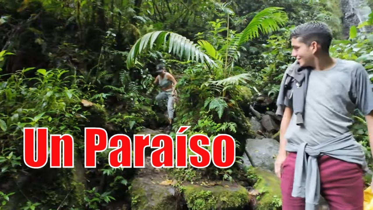 Caminata a Locos por el Bosque | AVENTURA EN UN PARAISO