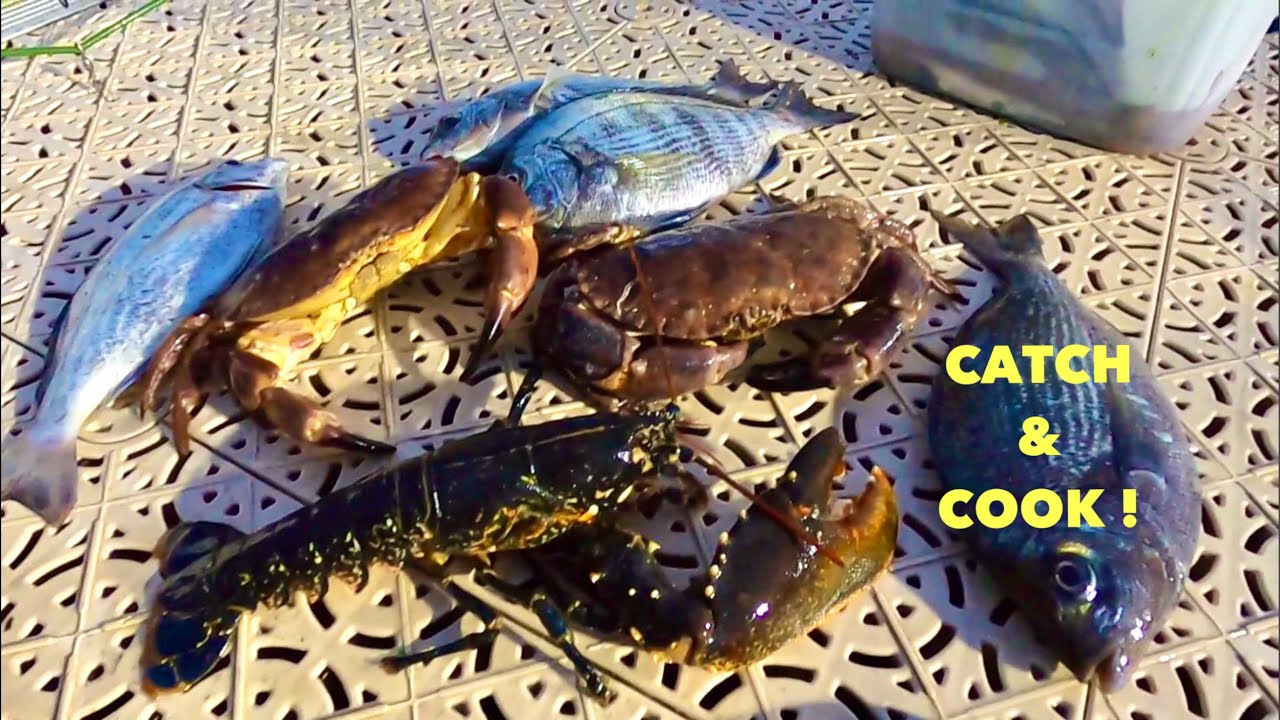 LOBSTER & CRAB - Catch and Cook , Lobster Pots , Boat Fishing for Bream !