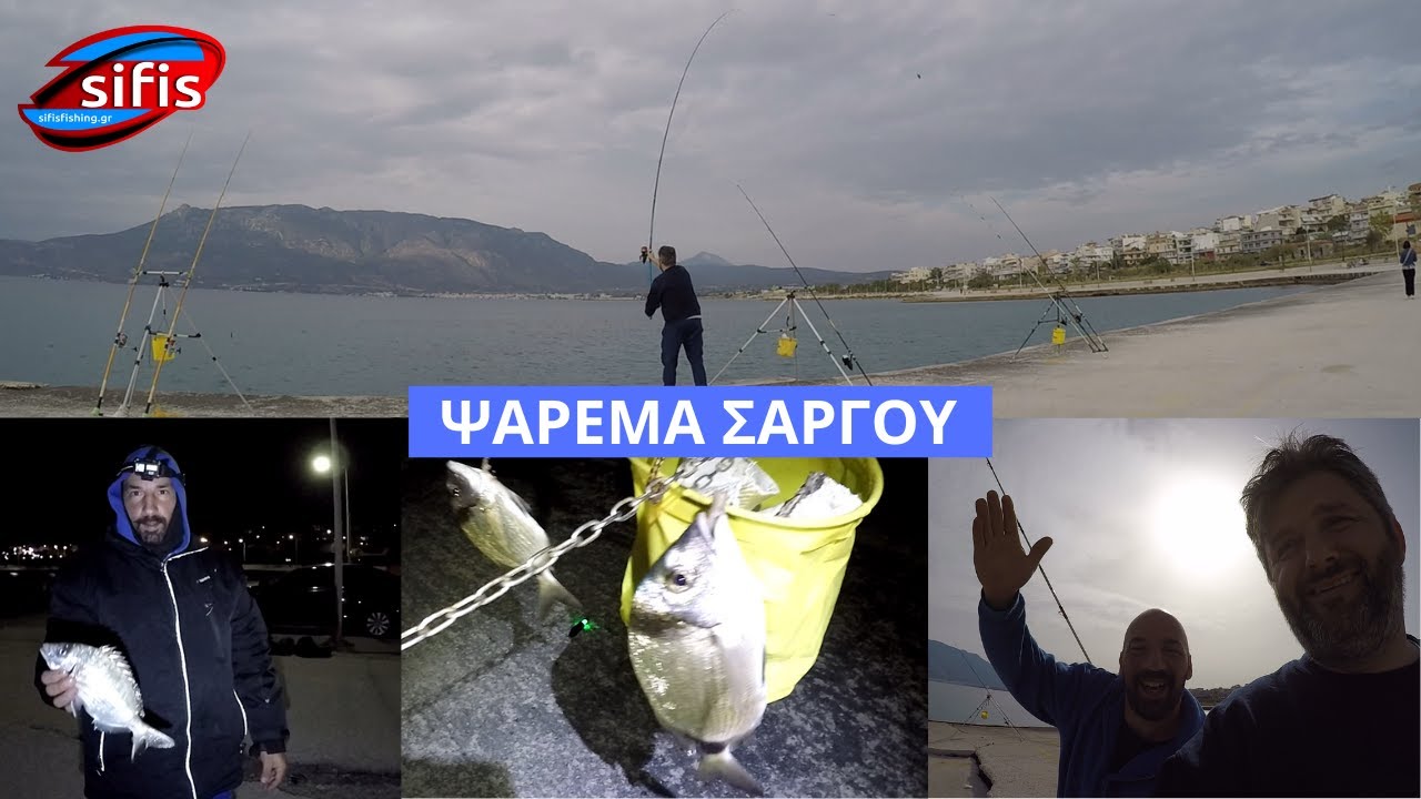 ΨΑΡΕΜΑ ΣΑΡΓΟΥ ΣΤΟ ΛΙΜΑΝΙ ! ΜΑΣ ΤΗΝ ΕΠΕΣΑΝ ΣΤΟΝ ΥΠΝΟ!! #ψάρεμα #surfcasting