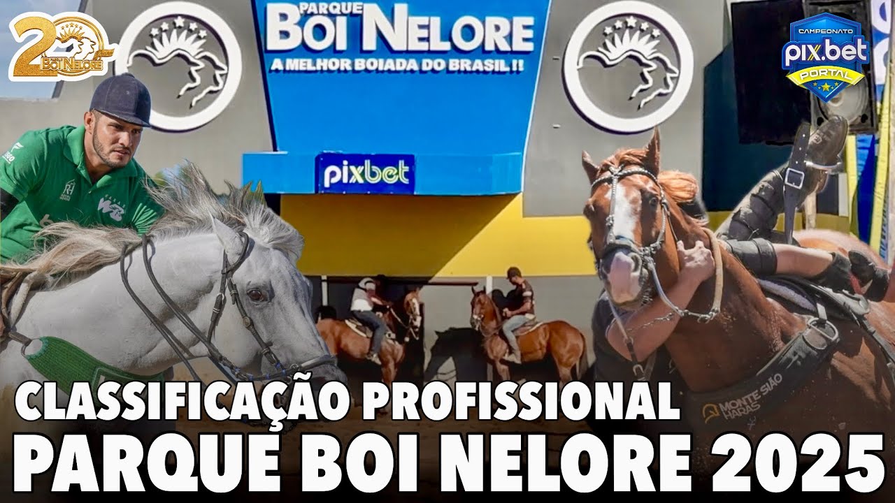 VAQUEJADA AO VIVO | CLASSIFICAÇÃO PROFISSIONAL | VAQUEJADA PARQUE BOI NELORE 2025 PORTAL VAQUEJADA