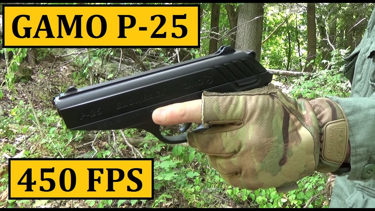 Gamo P-25 Pellet Pistol Review  (450FPS), Rifled Barrel, Blowback, .177 Cal)