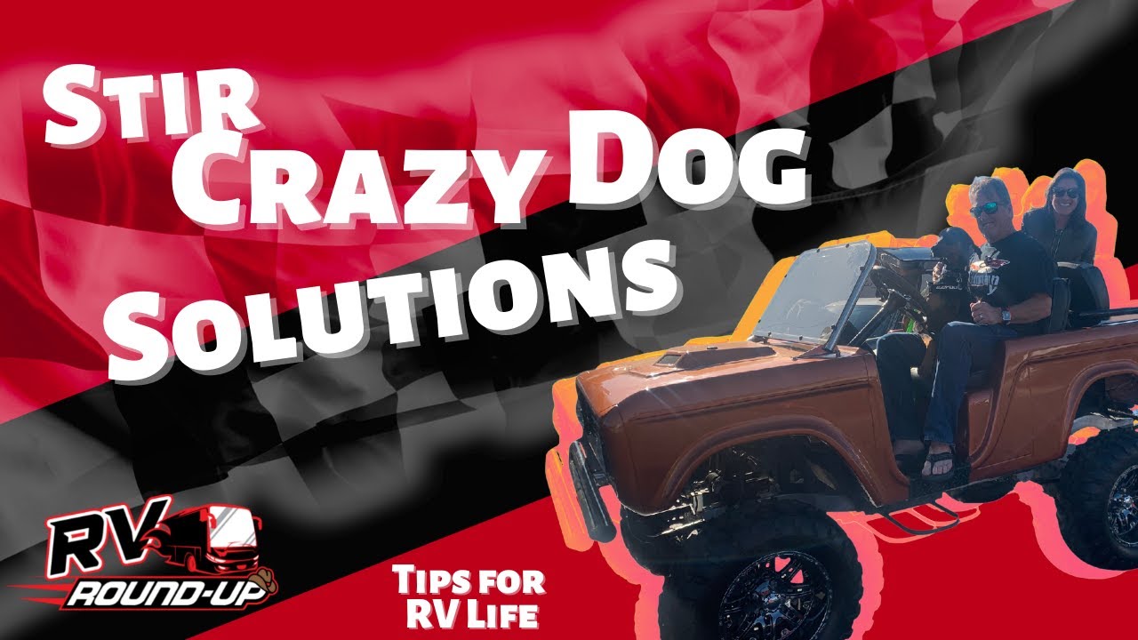 Tips for RV Living: Solutions for Stir Crazy Dogs
