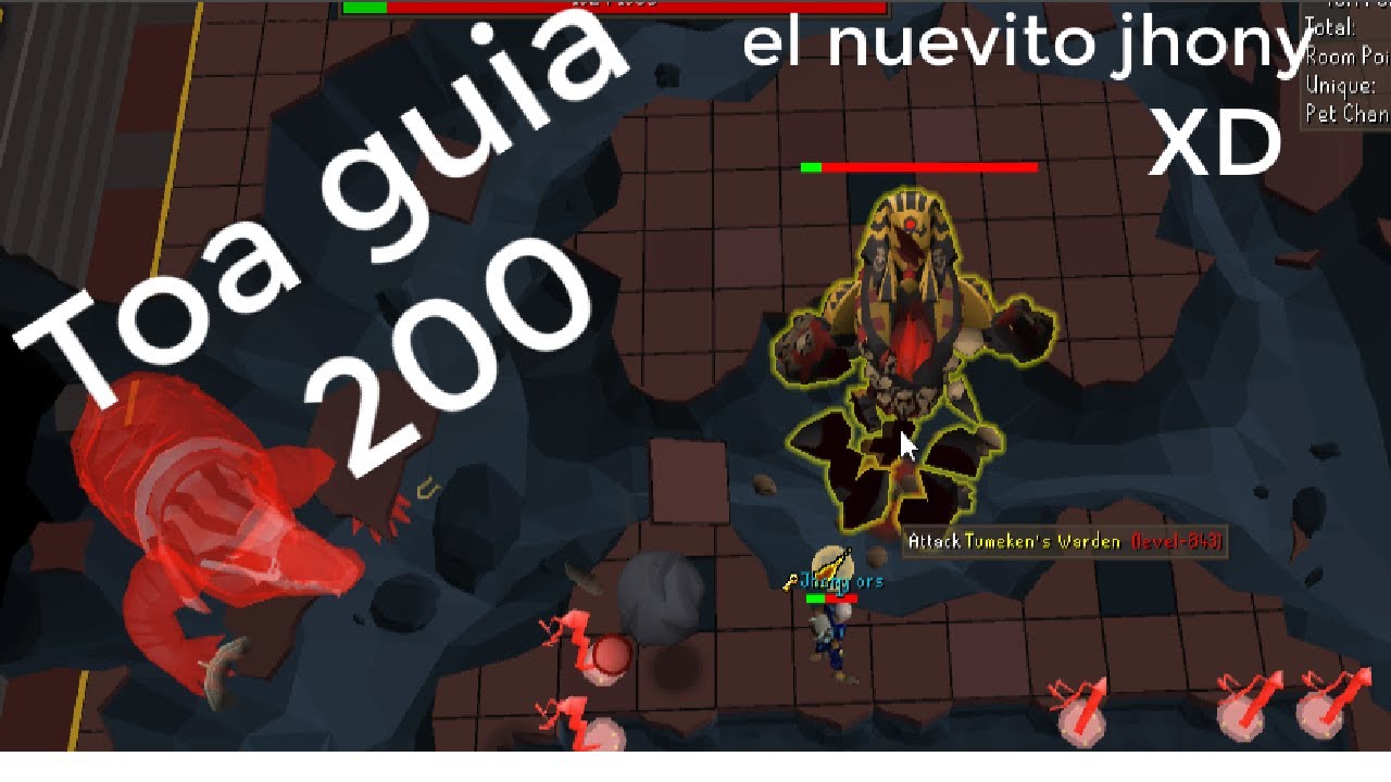 OSRS Toa 200 guia del nuevito jhony