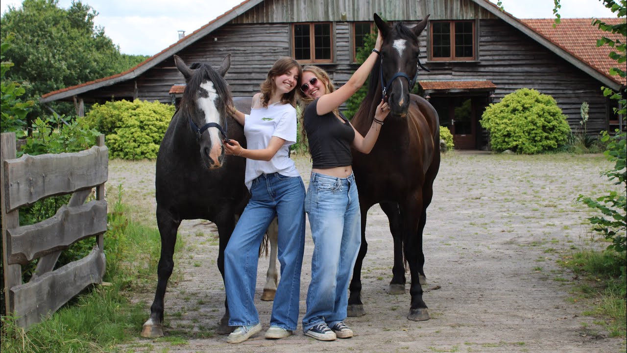 RC het Fjordenpaard week 1 2024