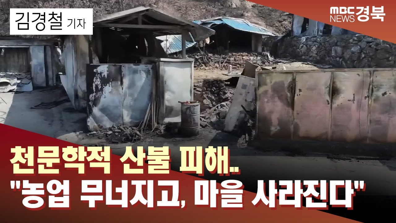 [R]천문학적 산불 피해..