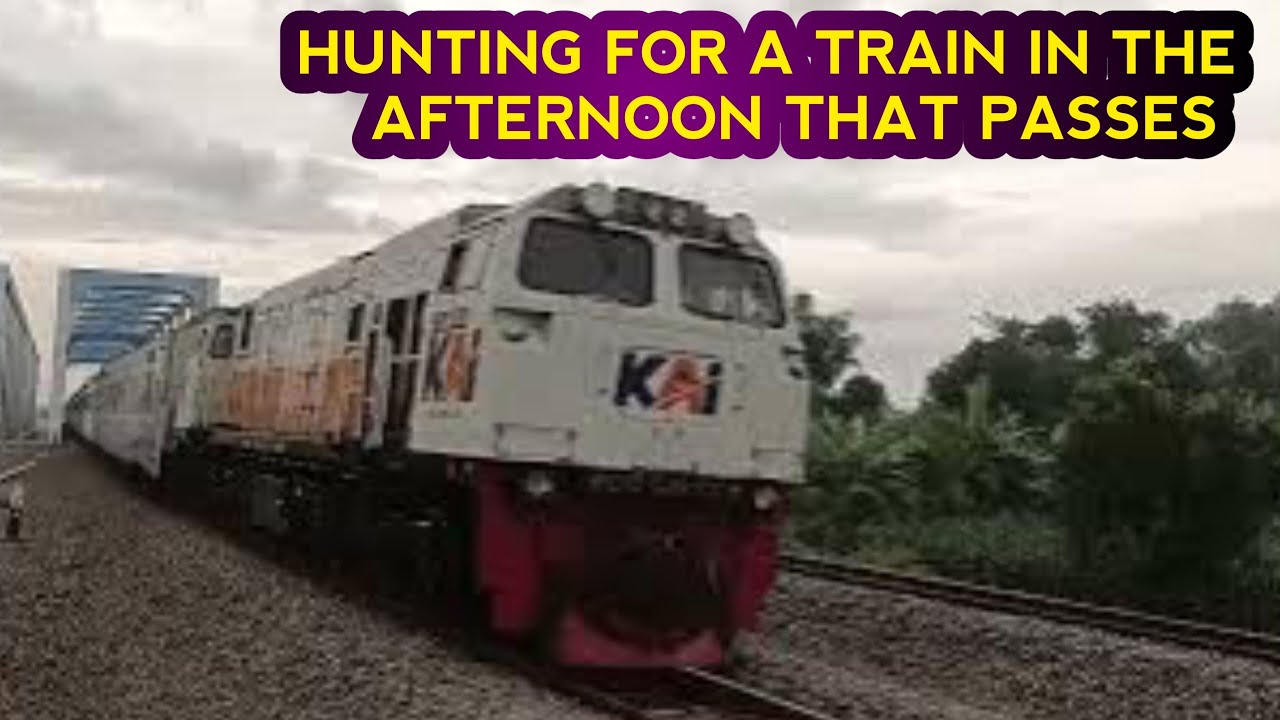 HUNTING FOR A TRAIN IN THE AFTERNOON THAT PASSES MY AREA