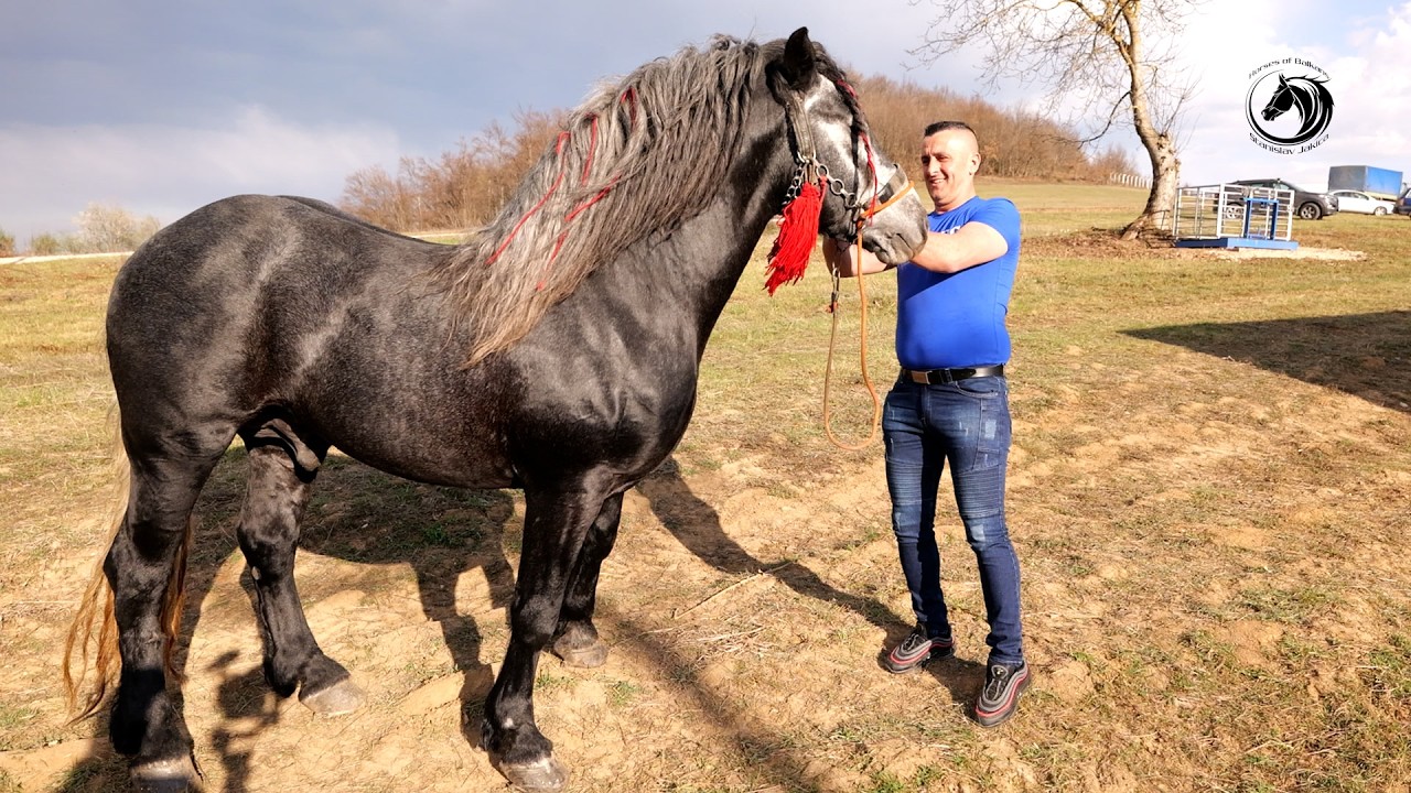 - MEŠIĆ SA NAJJAČIM SNAGAMA STIGAO U MELINU I PORUČIO :