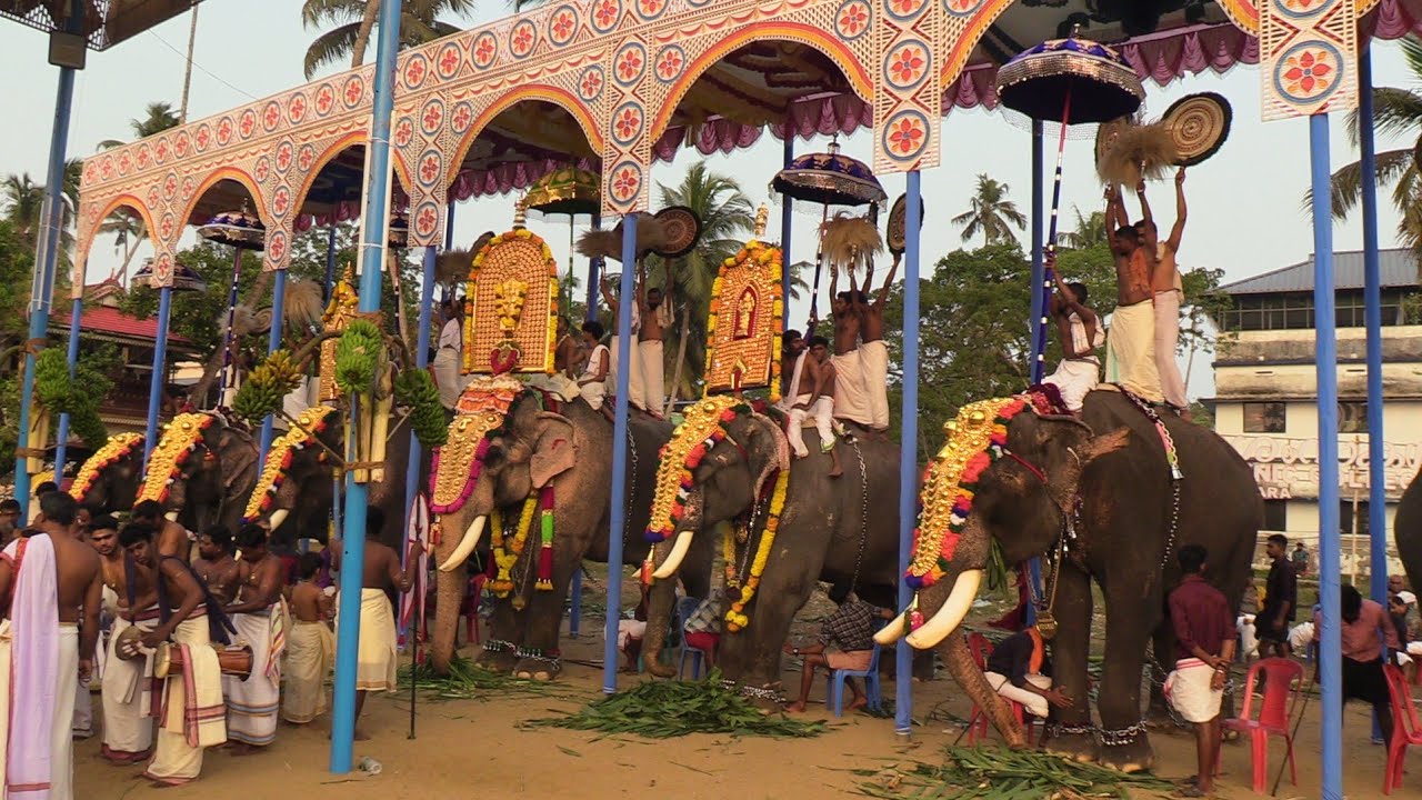 കൊട്ടുവള്ളിക്കാട് മഹോത്സവം 2026 /Alunkl Sree Bhadrakali Temple Festival  Kottuvallikkadu 2026