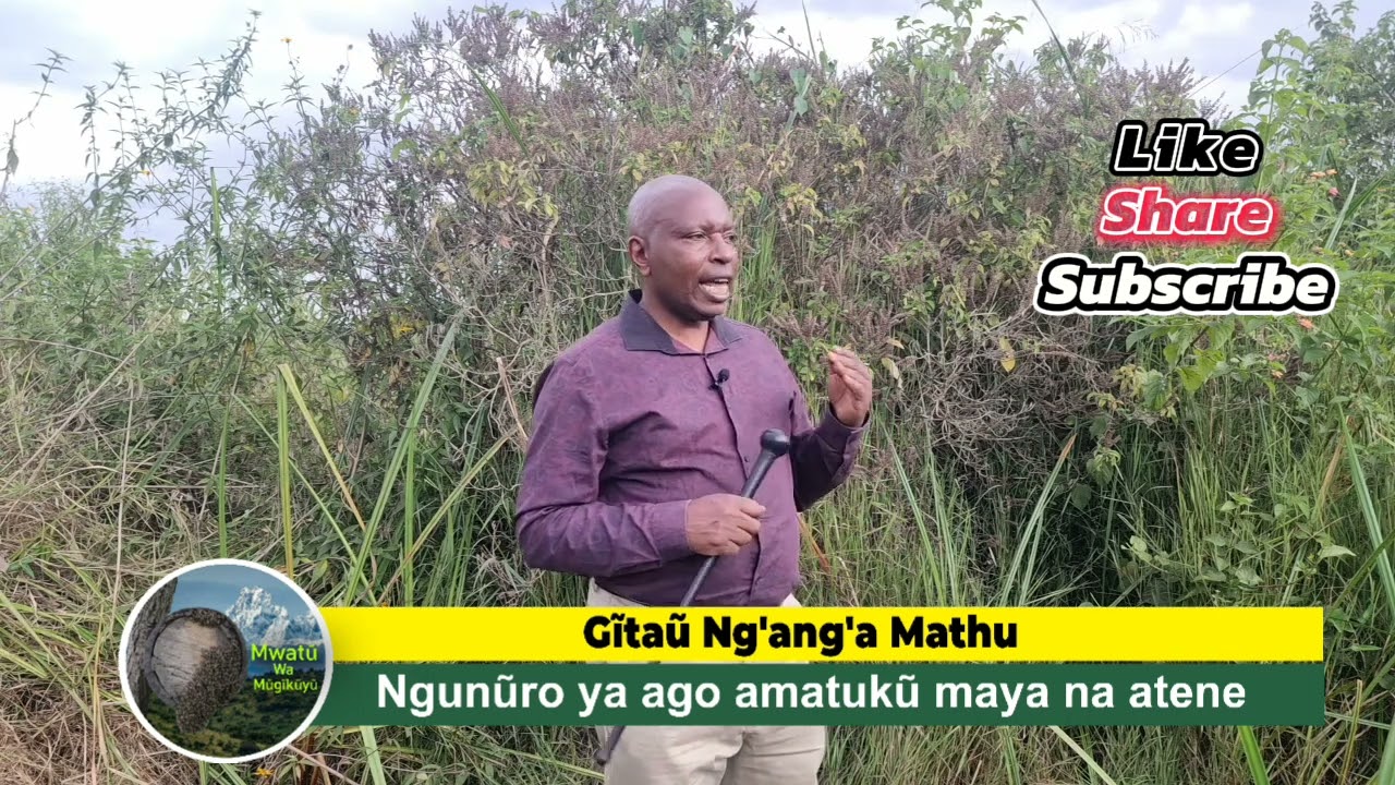 Ngunũro ya ago amatukũ maya na atene