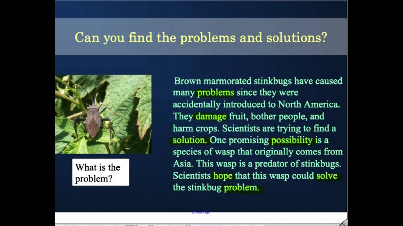 Problem and Solution Text Structure