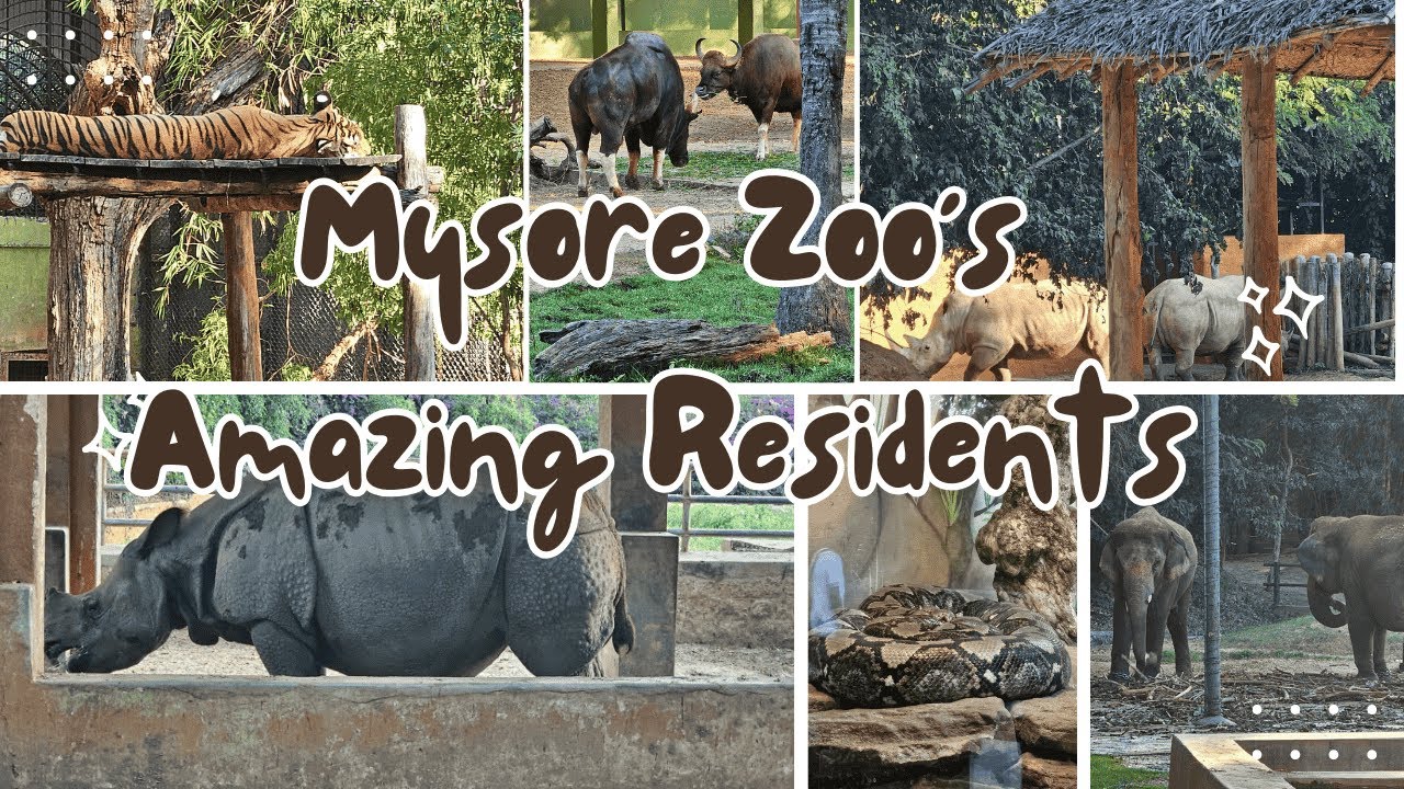 🐾 Exploring the Wild Wonders of Mysore Zoo! 🌿