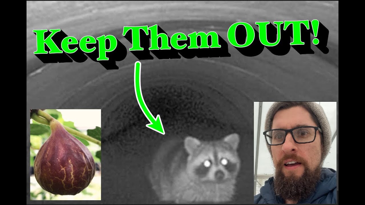 Tips for Animal-Proofing High Tunnels