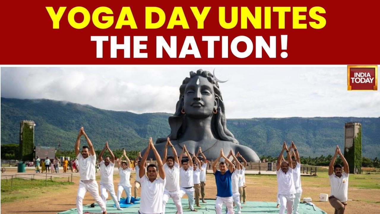 International Yoga Day: Mass Events Led By Punjab Governor, BJP Chief & Haryana CM Across Region