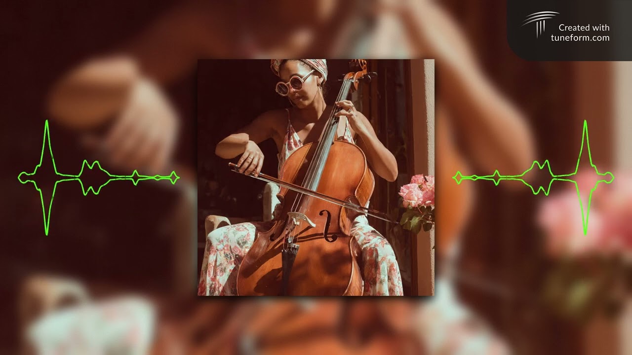 Traffic Love  - Miss Daisy Htonaz 🌼(Official Music Audio) 🎵