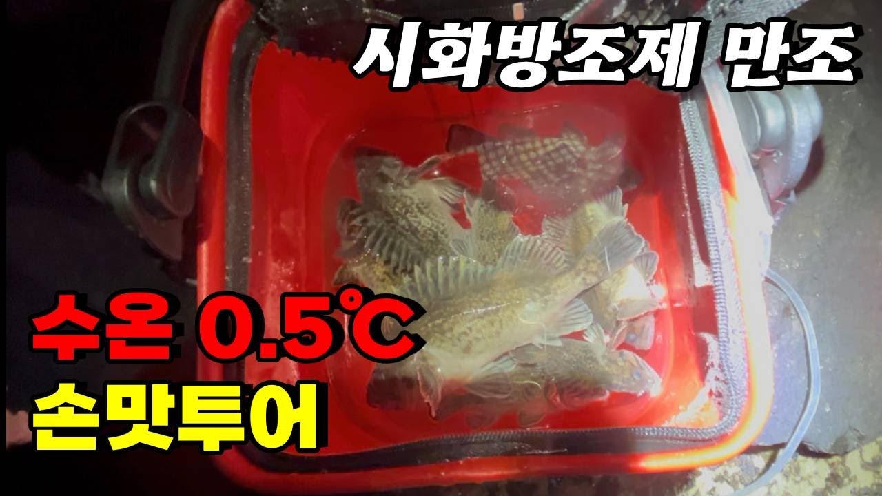 1월25일 시화방조제 손맛투어｜원테이크영상 우럭 공략법