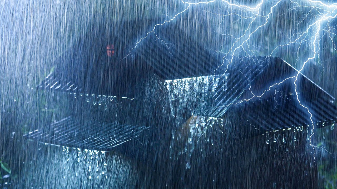 Duerme en 3 minutos con lluvia y truenos sobre techo de hojalata en bosque turbio
