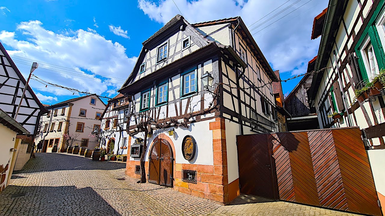 🚶 Hiking Around Bad Bergzabern | Forests, Vineyards & Villages