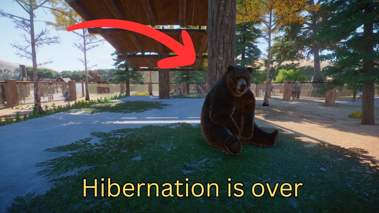Grizzly Bears Awaking : Planet Zoo