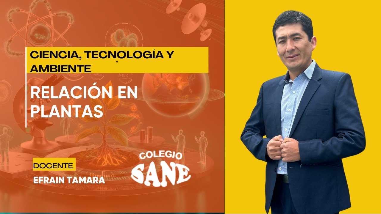 CTA / RELACIÓN EN PLANTAS / 1º II BIM / 22 - 02