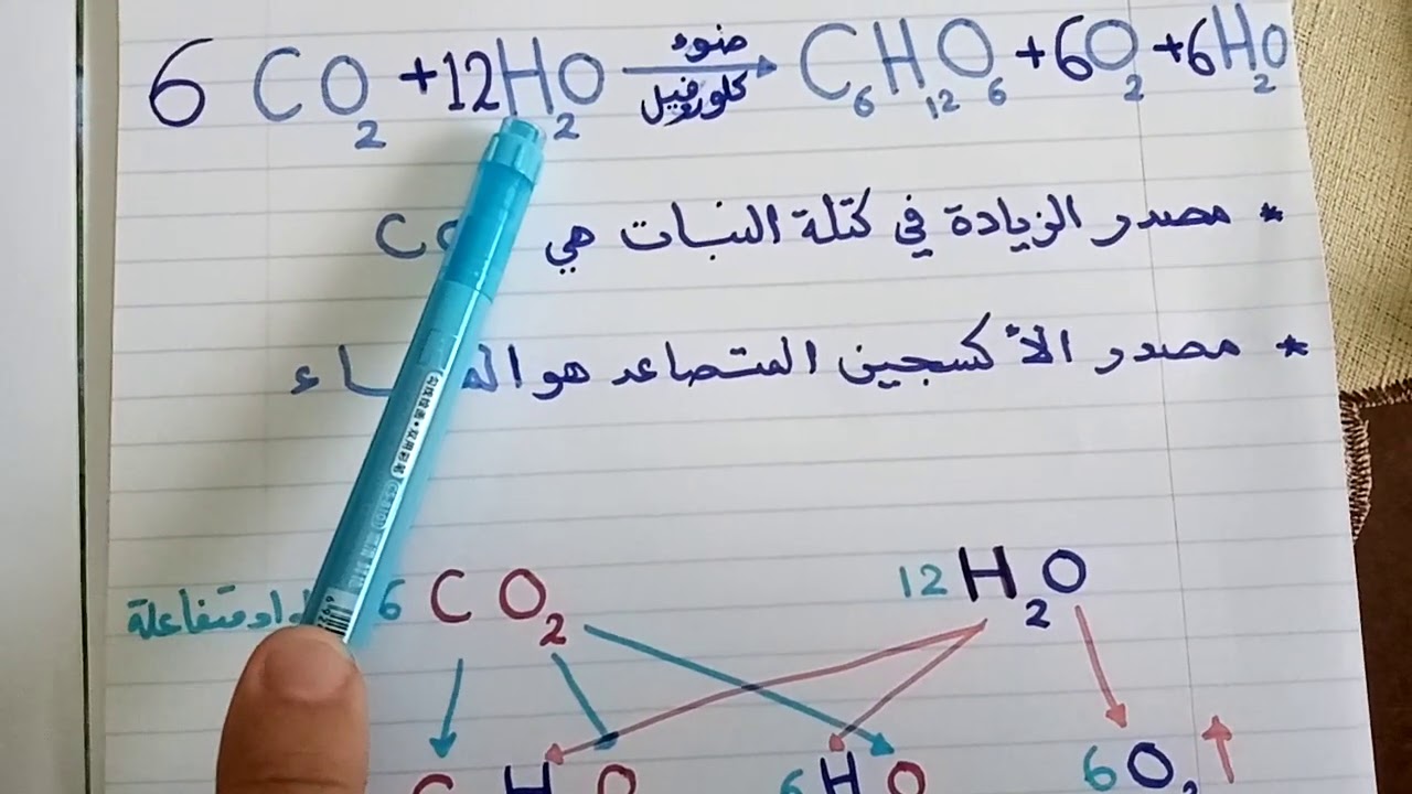 تابع البناء الضوئي معادلة ماير